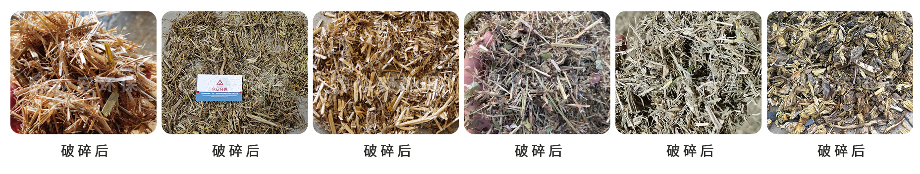 生物質(zhì)_02.jpg